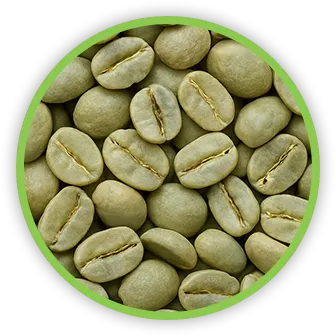 Extract de boabe de cafea verde